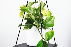 法国国家足球队队员带球进攻精彩瞬间